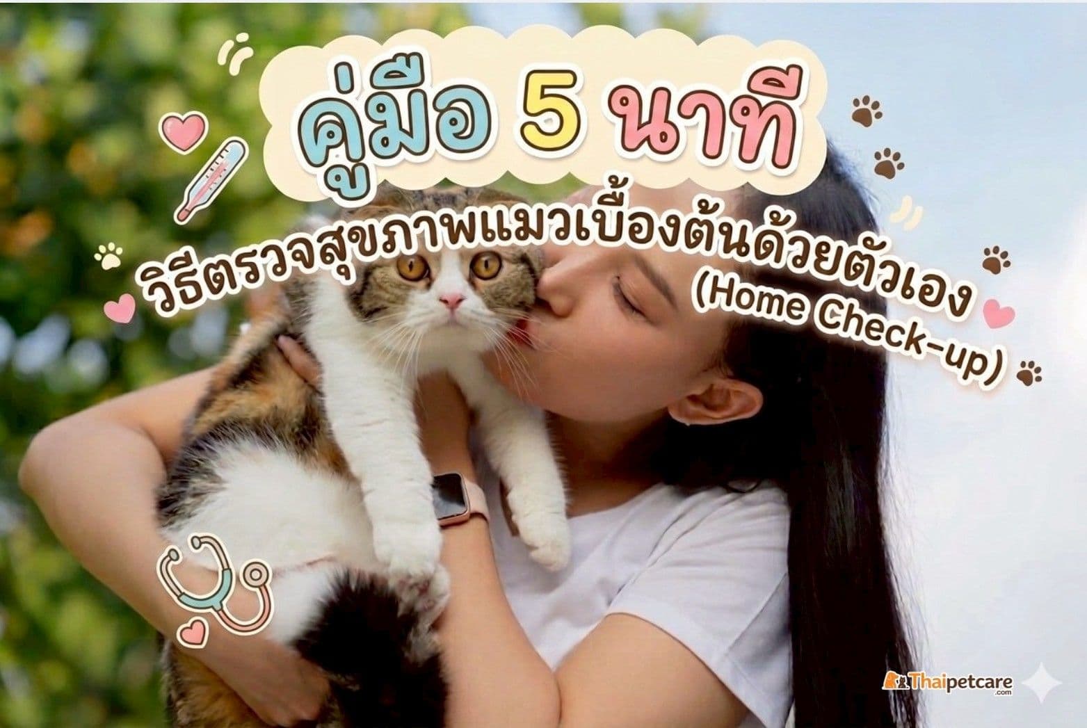 คู่มือ 5 นาที : วิธีตรวจสุขภาพแมวเบื้องต้นด้วยตัวเอง (Home Check-up)