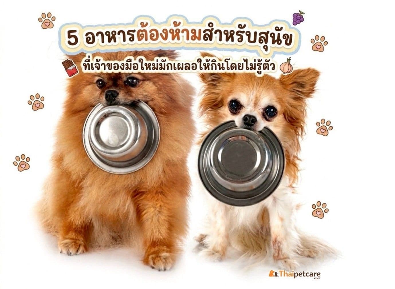 5 อาหารต้องห้าม สำหรับสุนัข  