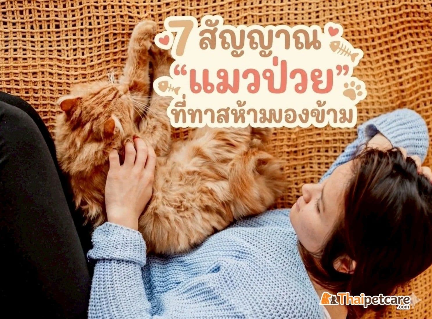 "7 สัญญาณ 'แมวป่วย' ที่ทาสห้ามมองข้าม“