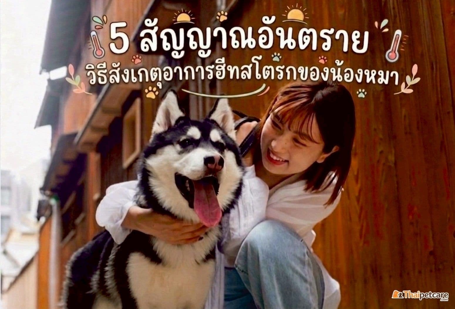 5 สัญญาณอันตราย: วิธีสังเกตอาการฮีทสโตรกของน้องหมา