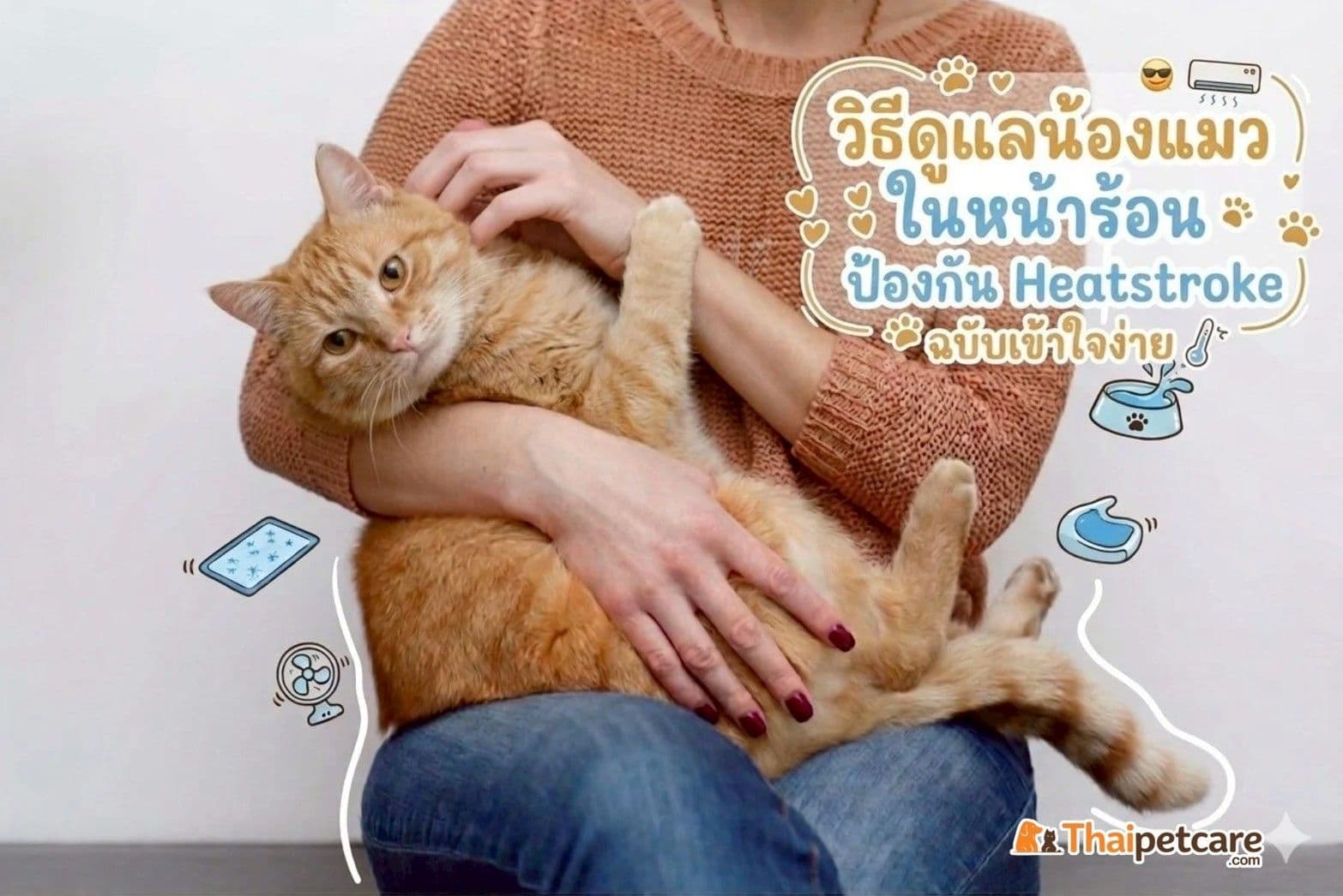 วิธีดูแลน้องแมวในหน้าร้อน ป้องกัน Heatstroke ฉบับเข้าใจง่าย
