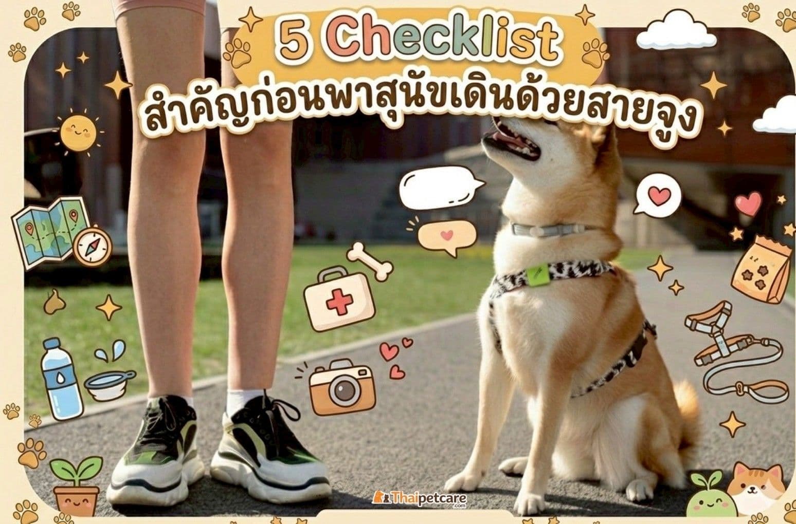 5 Checklist สำคัญก่อนพาสุนัขเดินด้วยสายจูง