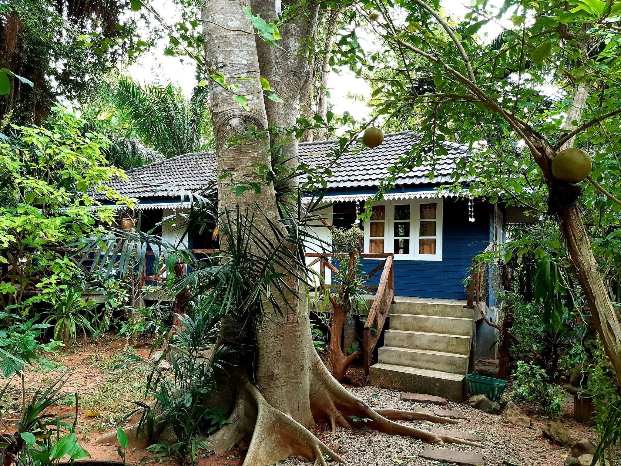 จังเกิลเบย์ รีสอร์ท (Jungle Bay Resort) รูปภาพที่ 7