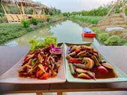 No alternative text provided