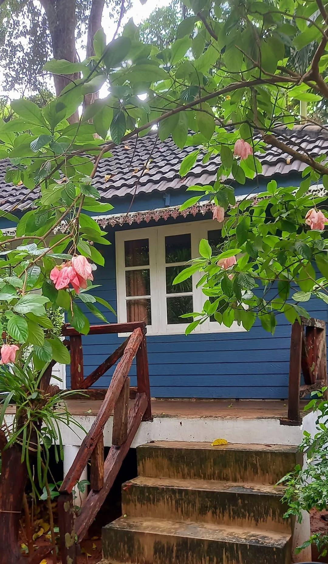 จังเกิลเบย์ รีสอร์ท (Jungle Bay Resort)