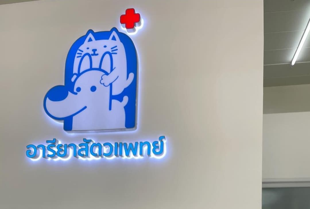 No alternative text provided