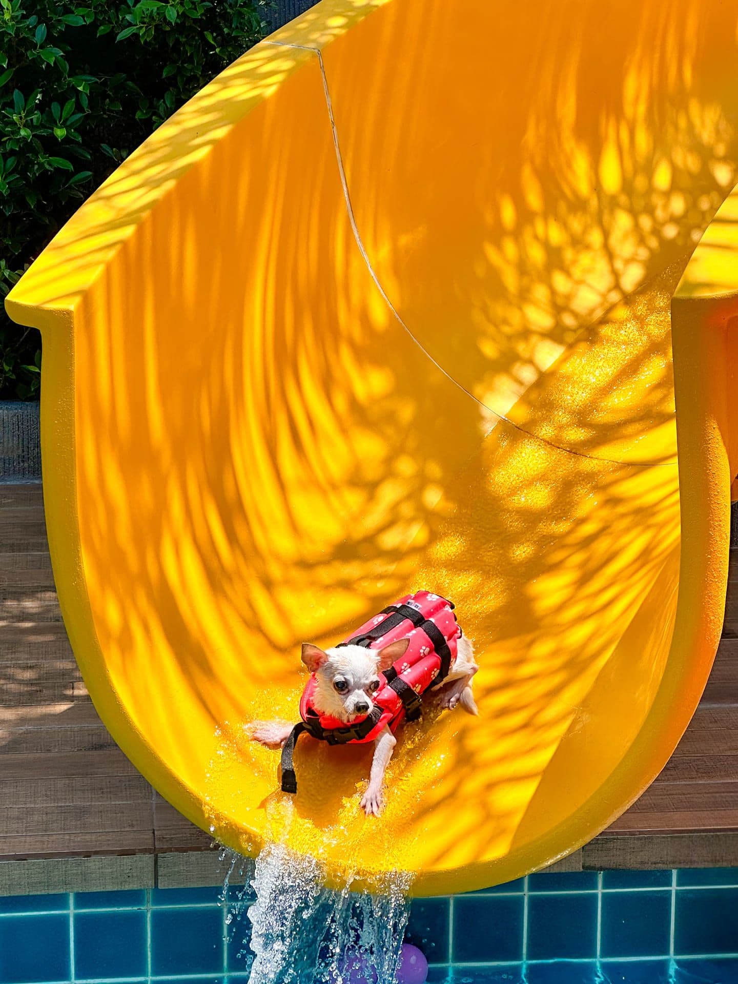 Slide 6