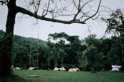 เดอะ บี แคมป์ปิ้ง (The Bee Camping)