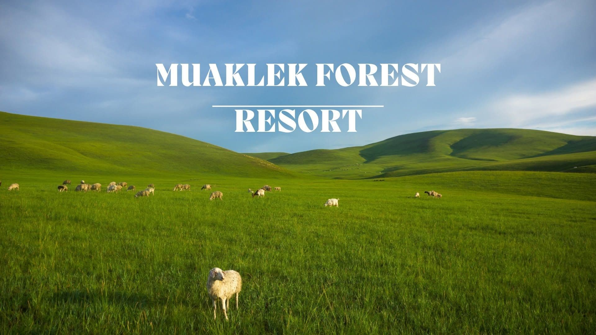 มวกเหล็ก ฟอเรสต์ รีสอร์ท (Muaklek Forest Resort)