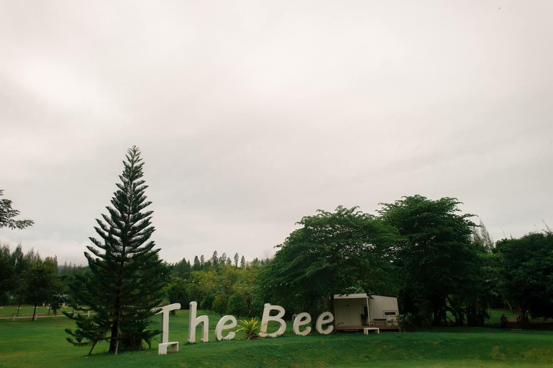 No alternative text provided