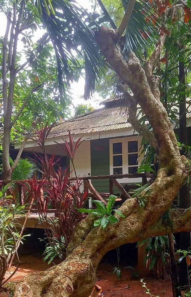 จังเกิลเบย์ รีสอร์ท (Jungle Bay Resort) รูปภาพที่ 15