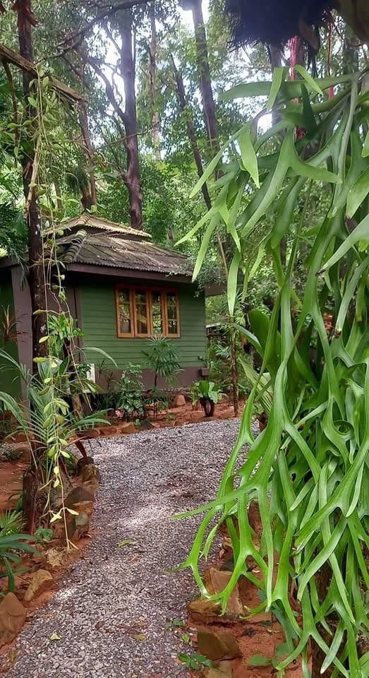 จังเกิลเบย์ รีสอร์ท (Jungle Bay Resort)