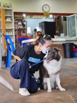 No alternative text provided