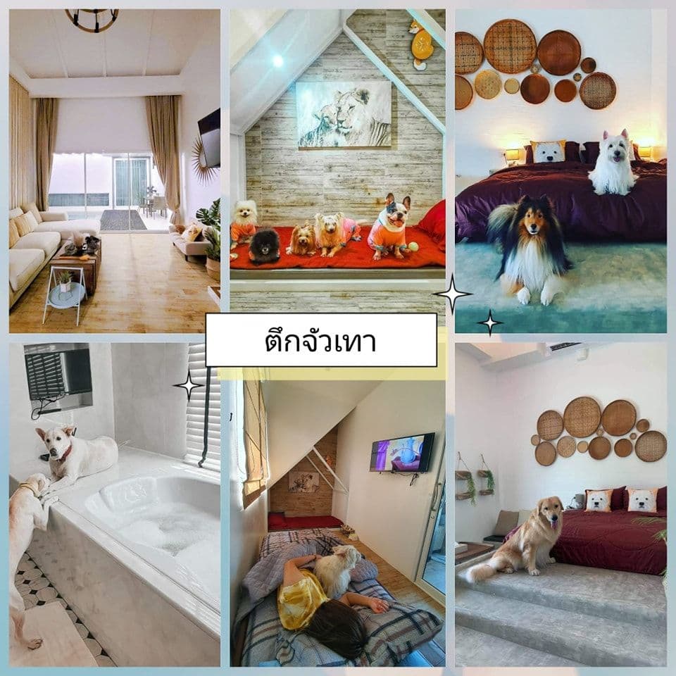 No alternative text provided