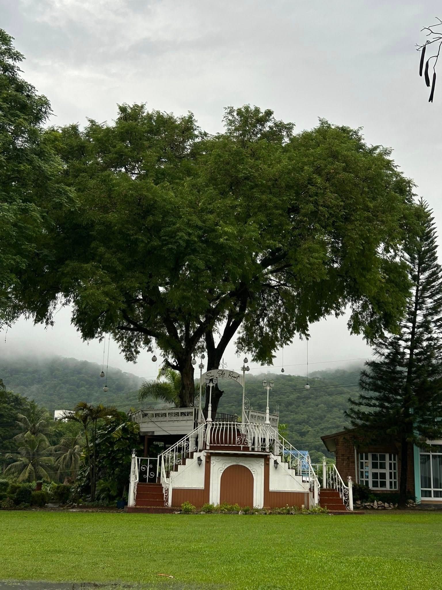 Slide 17