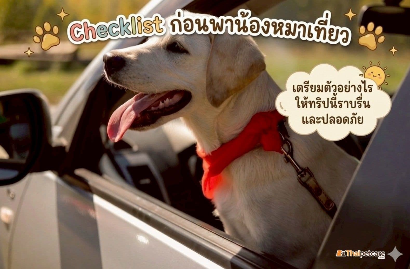 Checklist ก่อนพาน้องหมาเที่ยว เตรียมตัวอย่างไรให้ทริปนี้ราบรื่นและปลอดภัย