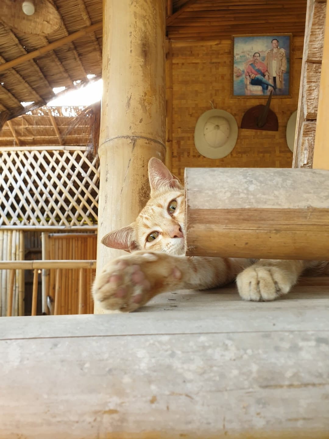บ้านสวนมีดี (Meedee Homestay)