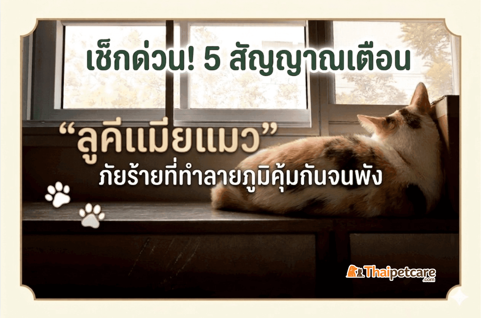 เช็กด่วน! 5 สัญญาณเตือน ลูคีเมียแมว ภัยร้ายที่ทำลายภูมิคุ้มกันจนพัง