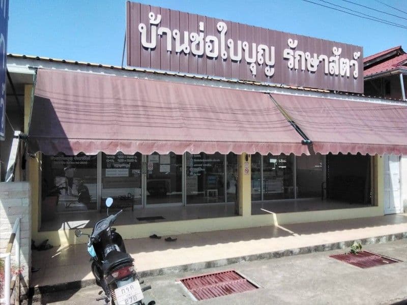 บ้านช่อใบบุญ รักษาสัตว์