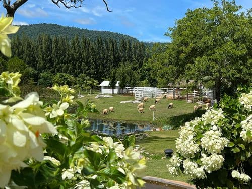 บูคอลเลค เขาใหญ่ (Bucolic Khaoyai) รูปภาพที่ 11