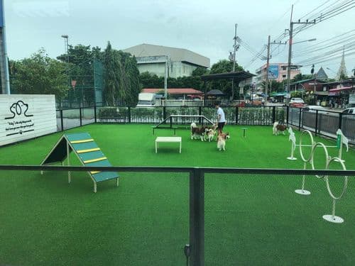 ลูน่าบอร์ดเกมส์คาเฟ่ (Lunar boargame&cafe) รูปภาพที่ 4