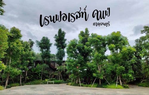 เรฟฟรอเรน คาเฟ่ (Rainforest Café) รูปภาพที่ 10