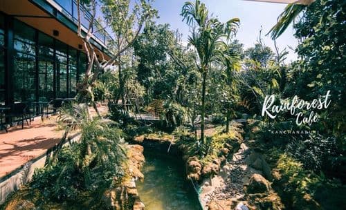 เรฟฟรอเรน คาเฟ่ (Rainforest Café) รูปภาพที่ 5