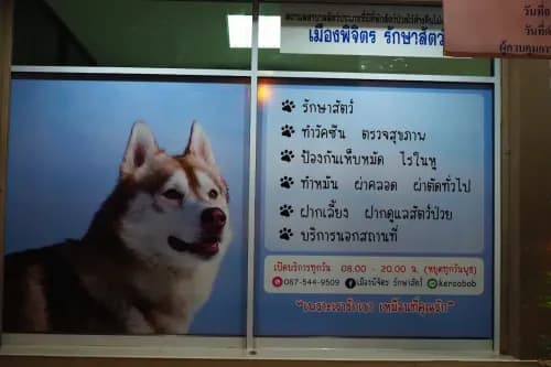 เมืองพิจิตรรักษาสัตว์ รูปภาพที่ 3