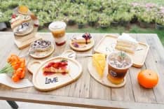 บลิส แอนด์ บลูม คาเฟ่ (Bliss & Bloom Cafe)
