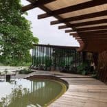 ซอฟต์คาเฟ่ (sop cafe)