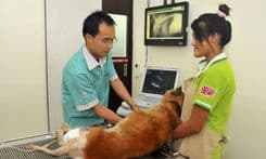 โรงพยาบาลสัตว์รัตนาธิเบศร์