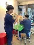 New Hope Pet Care