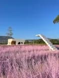 บลิส แอนด์ บลูม คาเฟ่ (Bliss & Bloom Cafe)