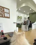 เพ็ททอล์ค คลินิกรักษาสัตว์ (Pettalk Veterinary Clinic)