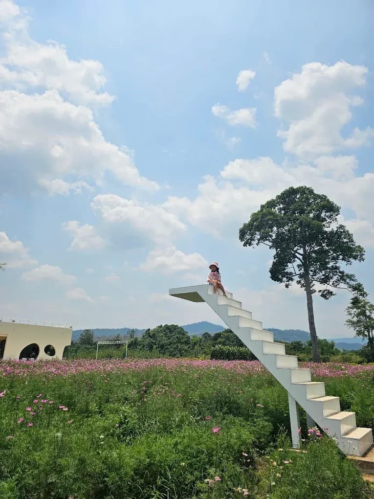 Slide 8